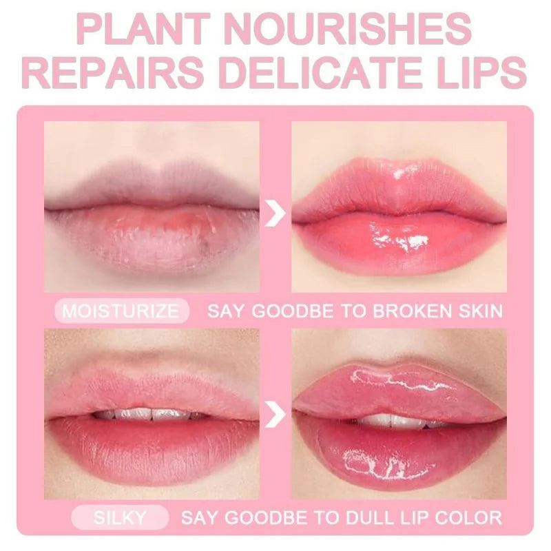 VERONNI 2-Piece Plumping & Moisturizing Lip Oil Set